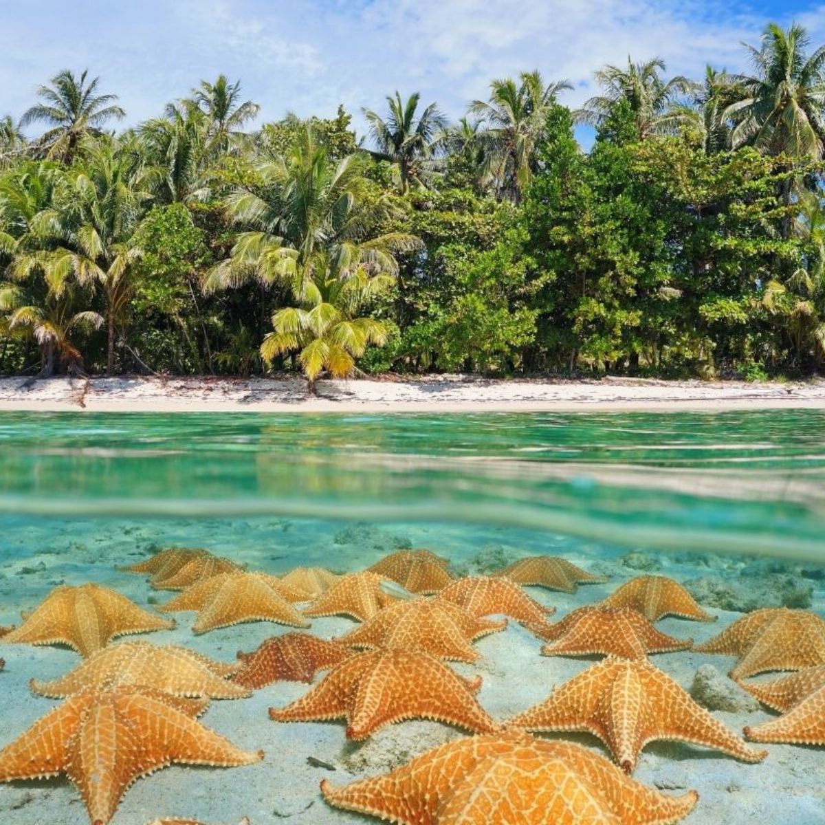 The 10 best beaches in panama